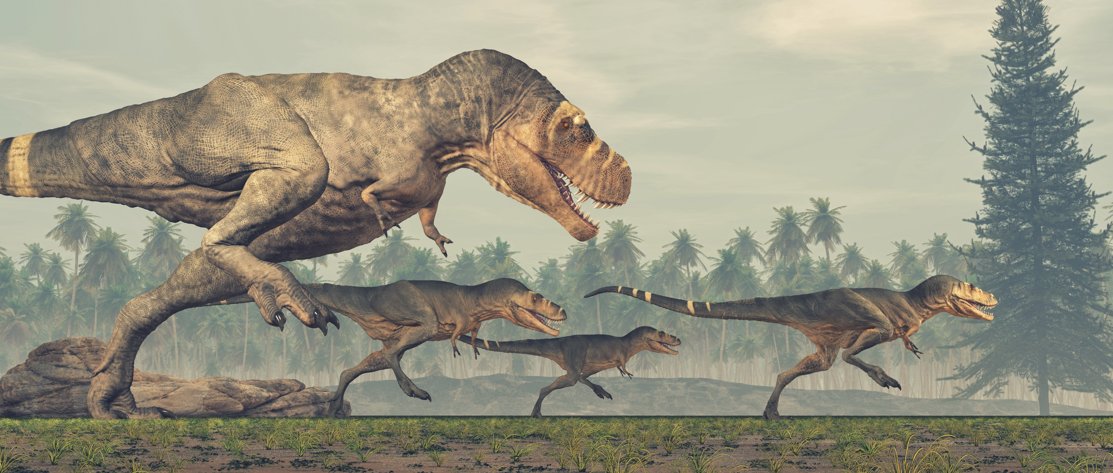 Tyrannosaurus Rex Activities