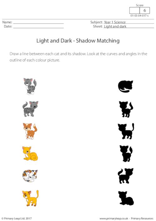 Shadows Worksheet 4th Grade
