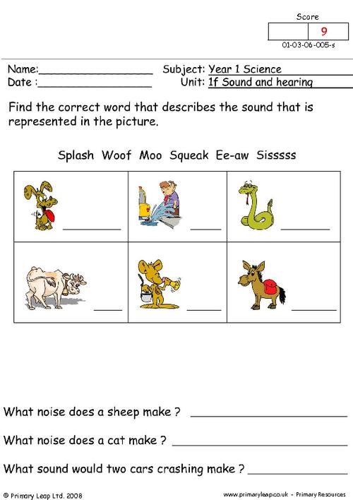year 1 science printable resources free worksheets for kids