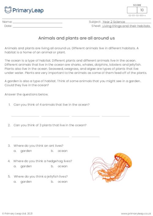 Science: Cloze Activity What is an Ocean? | Worksheet | PrimaryLeap.co.uk