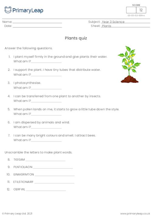 science cloze activity seed dispersal worksheet primaryleap co uk