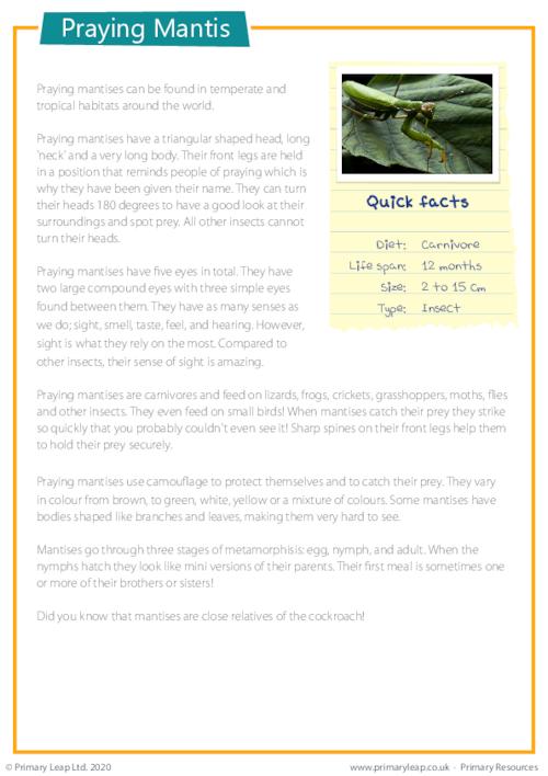 year 6 printable resources free worksheets for kids