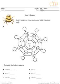 Add 5 Spider