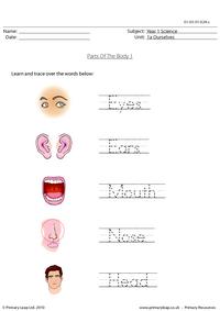 Parts of the body 1