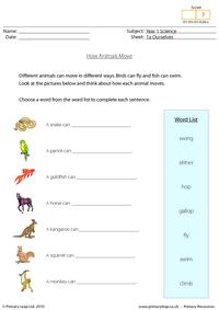 How animals move