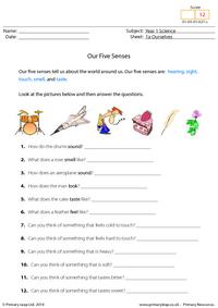 Our Five Senses