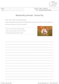 Researching Animals - Guinea Pig
