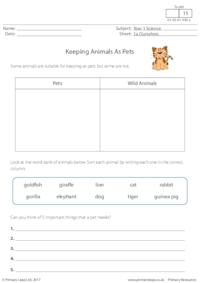 Keeping Animals As Pets