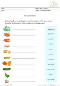 Naming vegetables
