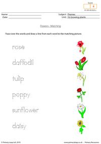 Word and picture matching - Flowers