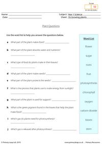 Plant Questions
