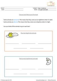 Diurnal and nocturnal animals