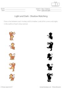 Shadow Matching (Monkeys)
