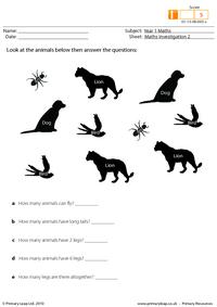 Maths investigation 2
