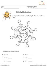 Divide by 2 Spider's Web