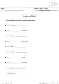 Singular and plural (6)