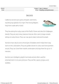 Reading comprehension - Sea Lions (non-fiction)