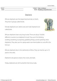 Reading comprehension - Elephants (non-fiction)