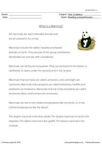 Reading comprehension - What is a Mammal? (non-fiction)