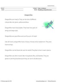 Reading comprehension - Dragonflies (non-fiction)