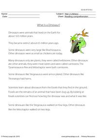 Reading comprehension - What is a Dinosaur? (non-fiction)