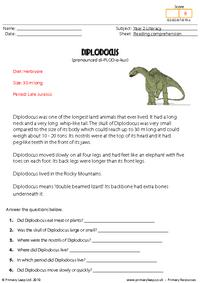 Reading comprehension - Diplodocus (non-fiction)