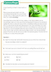 Reading Comprehension - Camouflage