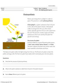Photosynthesis