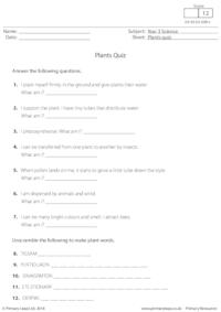 Plants Quiz