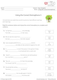 Using the Correct Homophone 3