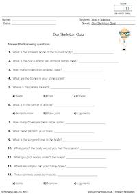 Our Skeleton Quiz