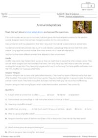 Animal Adaptations