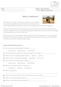 What is a Herbivore?