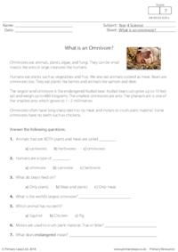 What is an Omnivore?  