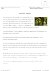 Rainforest Habitats