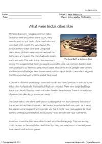 Reading comprehension - What were Indus cities like?