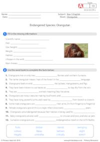 Cloze Activity - Orangutan