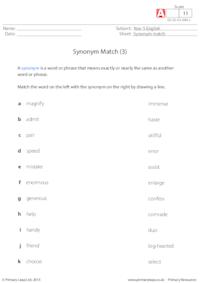 Synonym Match (3)