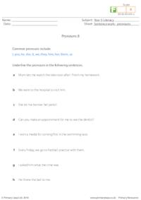 Pronouns 8