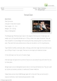 Reading comprehension - Bengal tiger