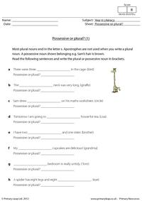 Possessive or plural? (1)