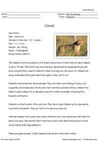 Reading comprehension - Cheetah