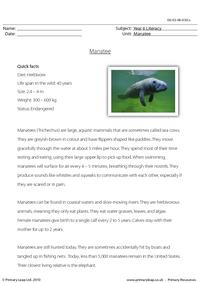 Reading comprehension - Manatee