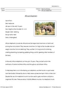 Reading comprehension - African elephant