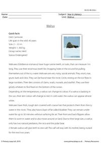 Reading comprehension - Walrus