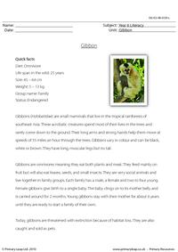 Reading comprehension - Gibbon