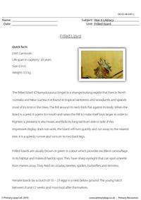 Reading comprehension - Frilled lizard