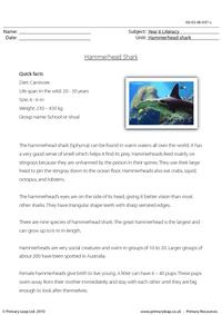 Reading comprehension - Hammerhead shark