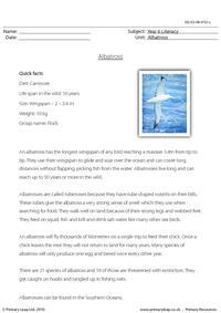 Reading comprehension - Albatross