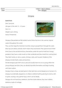 Reading comprehension - Stingray
